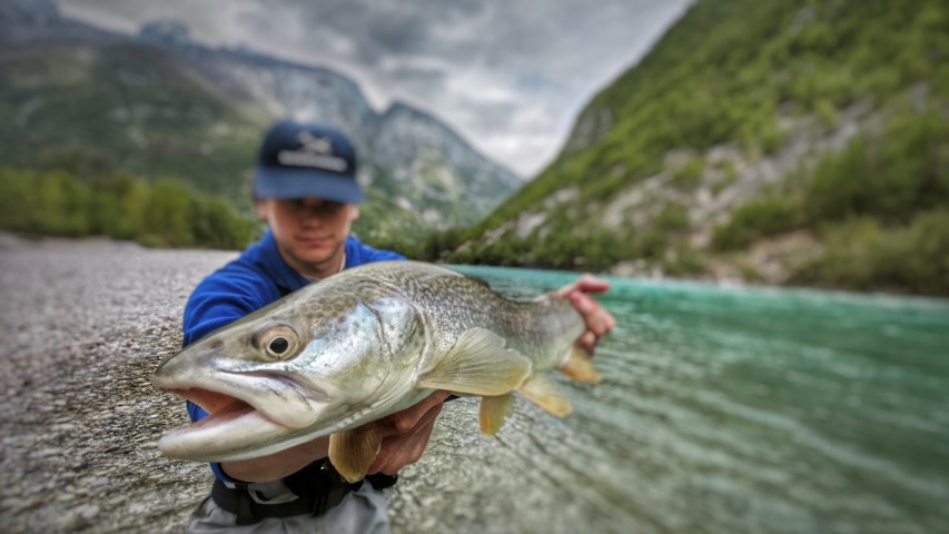 April Marble trout Soca river.